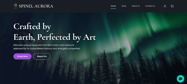 Company Profile & Portfolio — CrudOps | Custom Software & Production ...